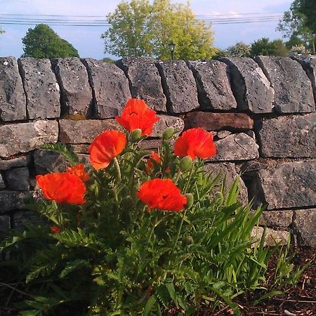 Ashfield House B&B Cong Exterior photo